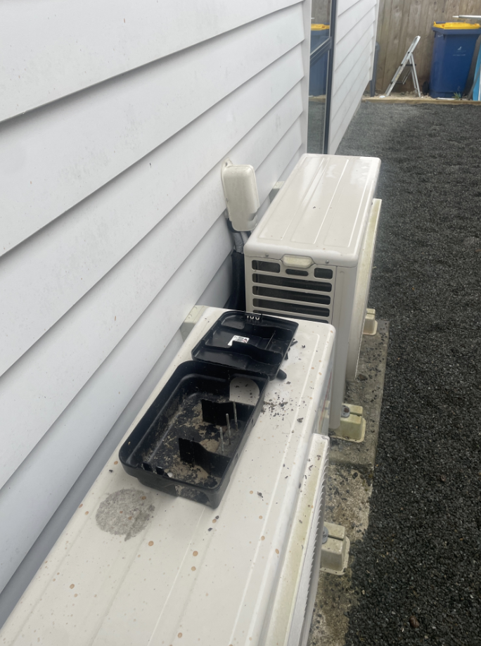External rodent stations opened beside the building, empty of bait
